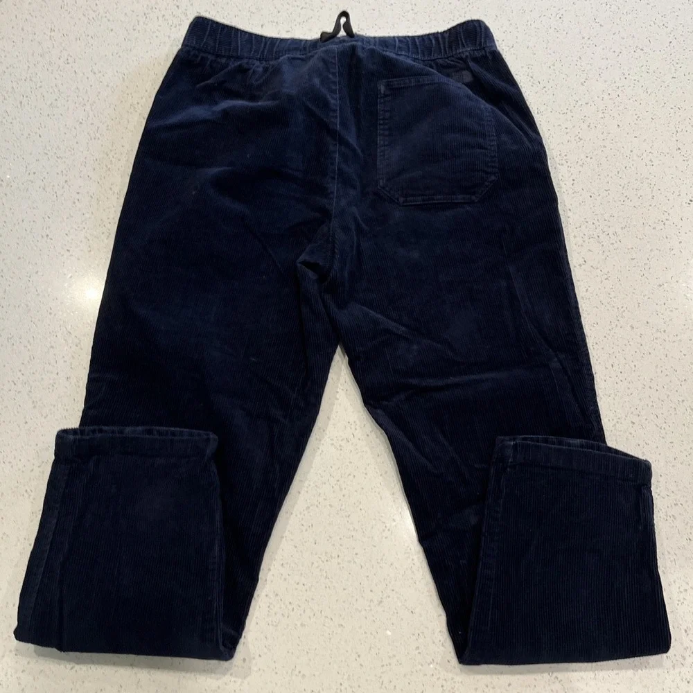 The North Face Pants Berkeley Corduroy Scarab Blue Mens Medium  32